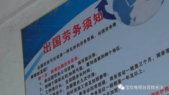 出國勞務與留學的雙重陷阱 為何夢想尚未啟航，財富已先行蒸發